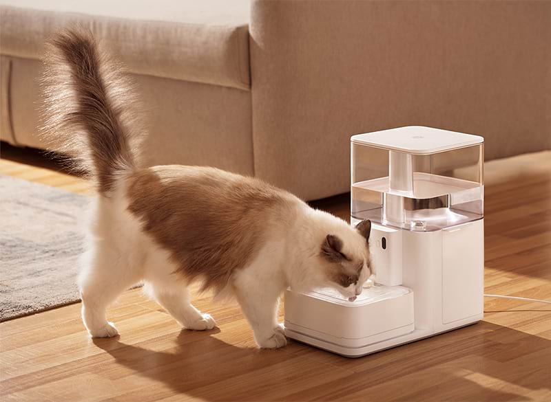 pet (2)