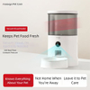 Vacuum Automatic Feeder
